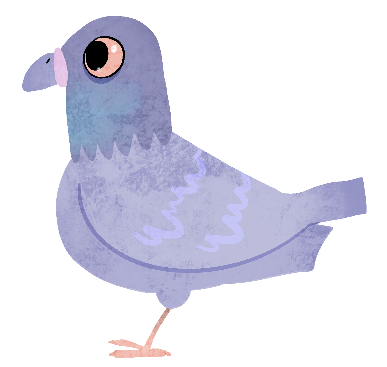 pidgeon.png